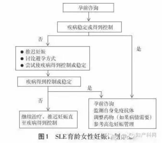 你是夜晚 视频缩略图