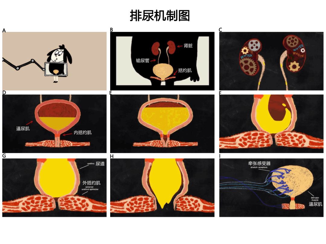 假期历险记 视频缩略图