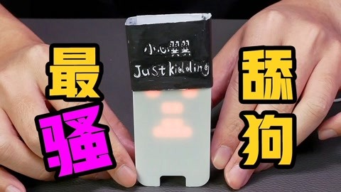 呆瓜兄弟 视频海报