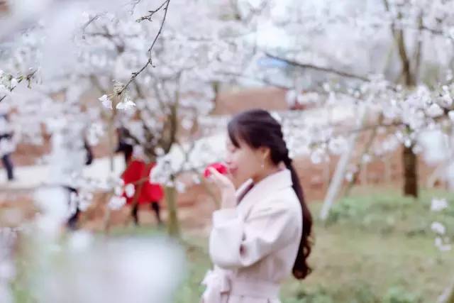 大丈夫日记 视频海报