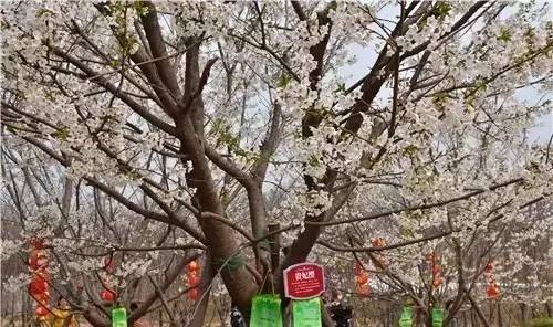 伊娃 视频缩略图