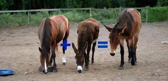 倒数第二次恋爱 2012秋SP 视频缩略图