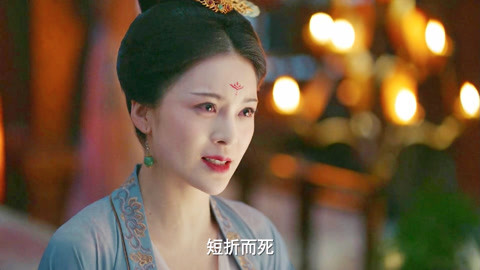 信天翁 视频缩略图