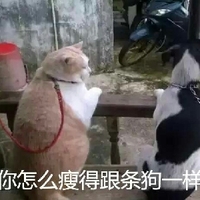 会痛的十七岁 视频缩略图