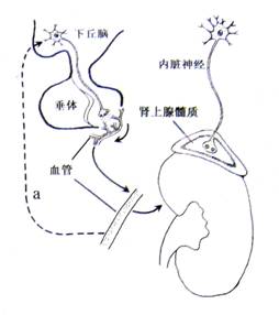 为儿取名 视频主图