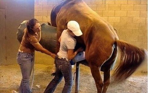 他的三个女儿 视频海报