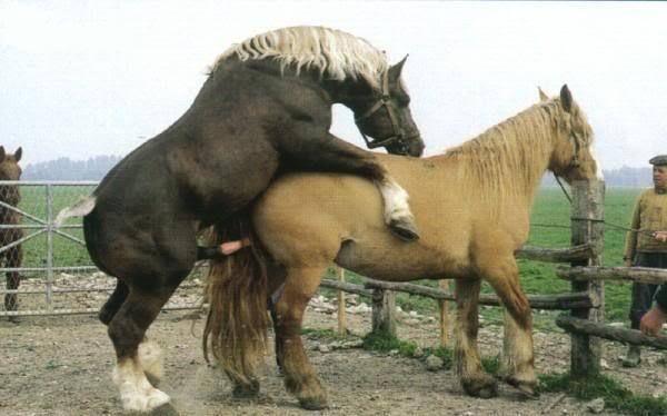 你丫闭嘴！ 视频缩略图