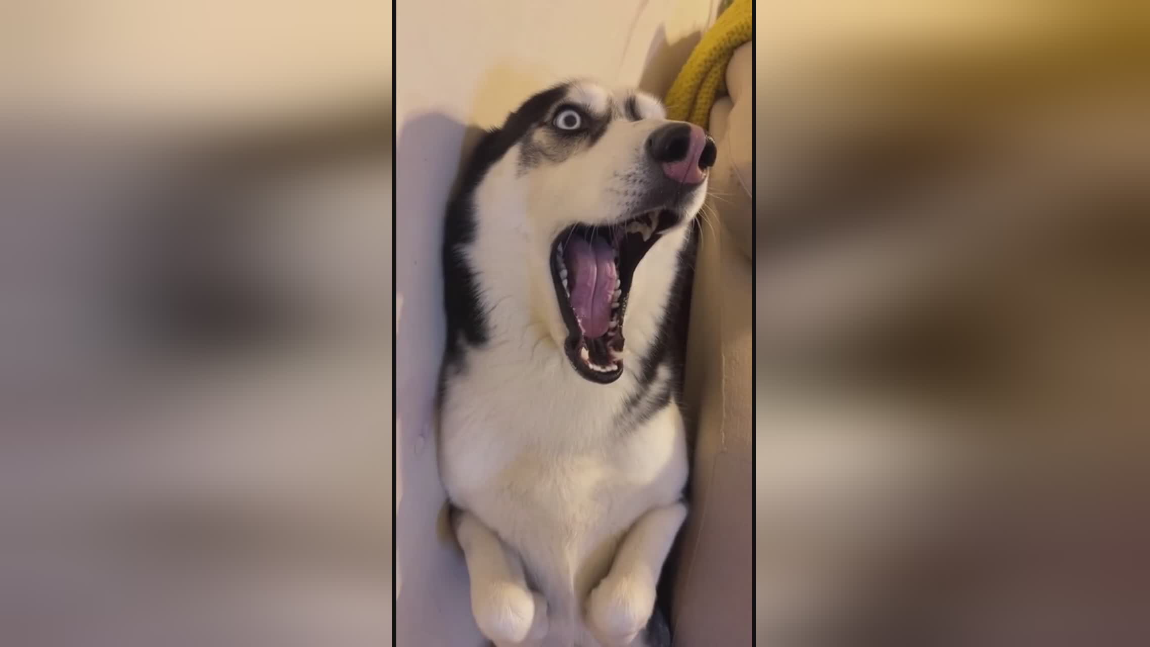 冰山一角 视频缩略图