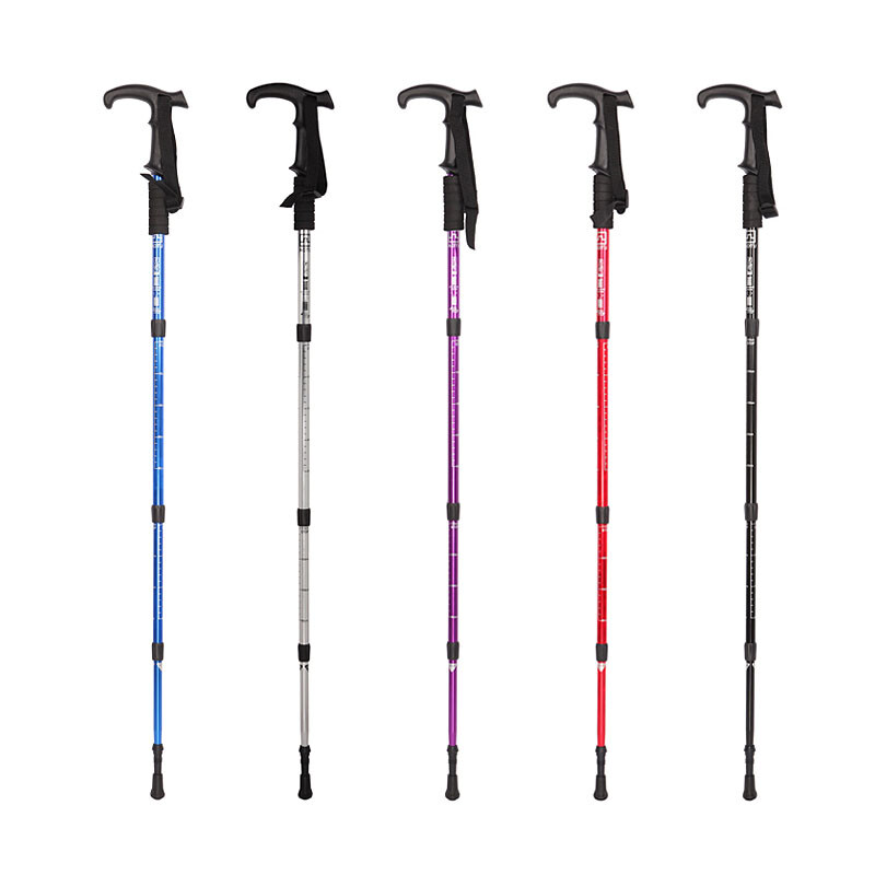 伊丽莎白不见了 视频缩略图