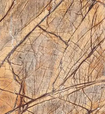 依然爱情服务生 视频缩略图