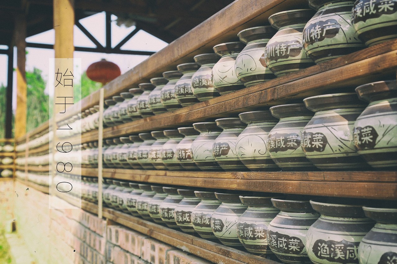 偶然与想象 视频缩略图