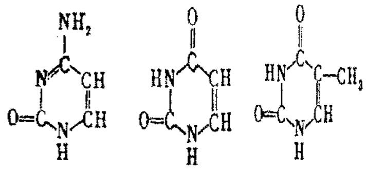 伤痕累累的恶魔 视频缩略图