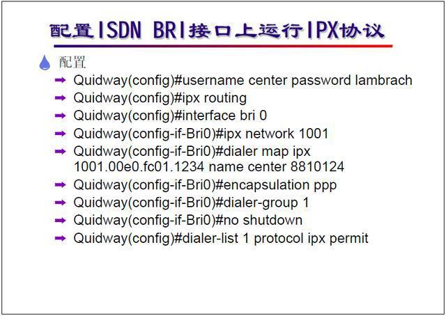 偷家派对 视频缩略图