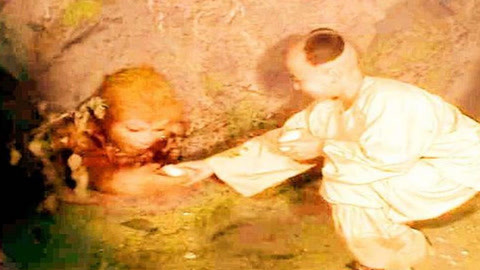 倩女仙缘2 视频缩略图