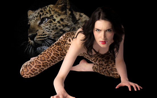 侦探马龙 视频缩略图