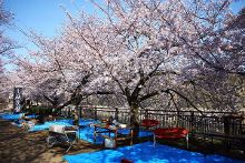 倒计时 视频缩略图