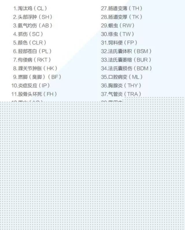 你是不是我的爱人 视频缩略图