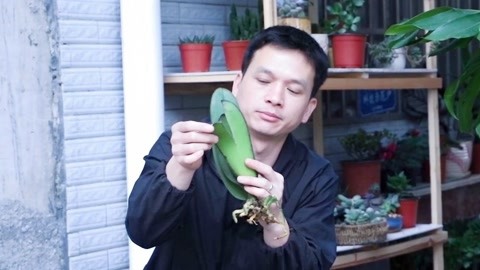 伪行者 视频缩略图