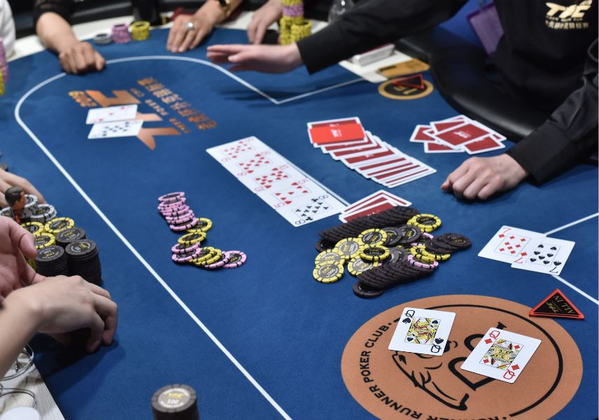 伊丽莎 施莱辛 不同的动物 视频缩略图