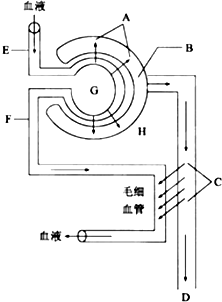 人狼游戏 死亡游戏的运营人