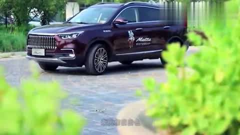 夏日福星 视频缩略图