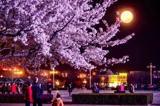 冰路营救 视频缩略图