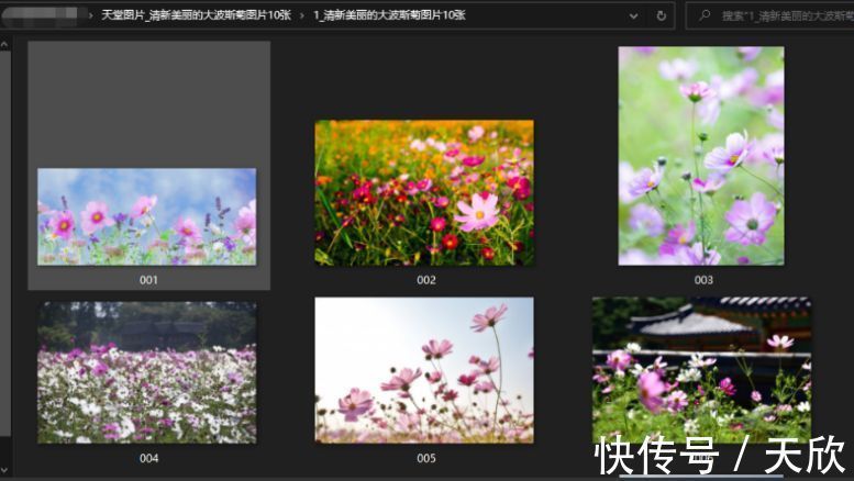 何以为家（国语版） 视频缩略图