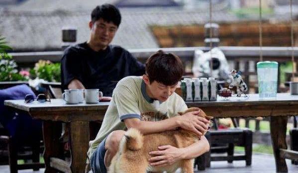 偷天换爱 视频海报