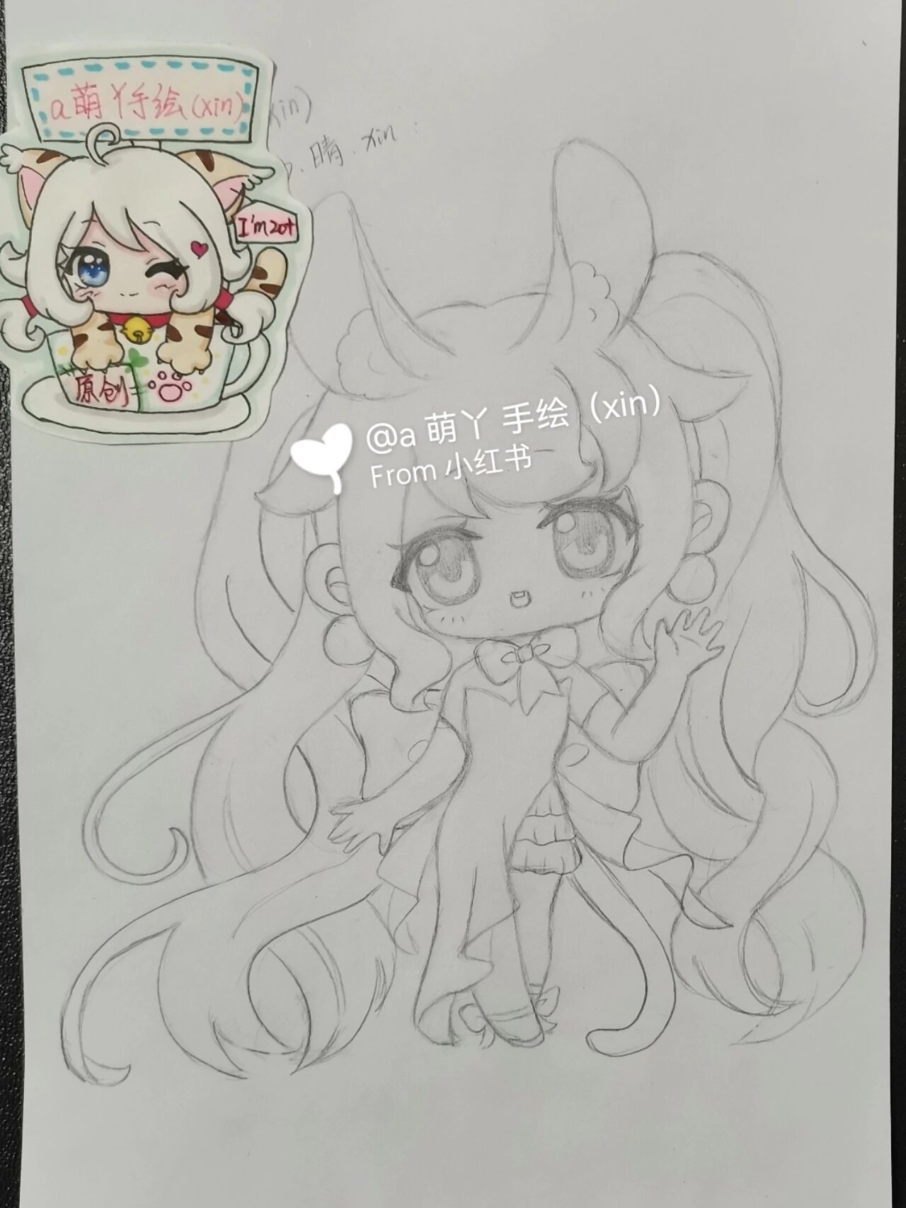 冽之花 视频主图