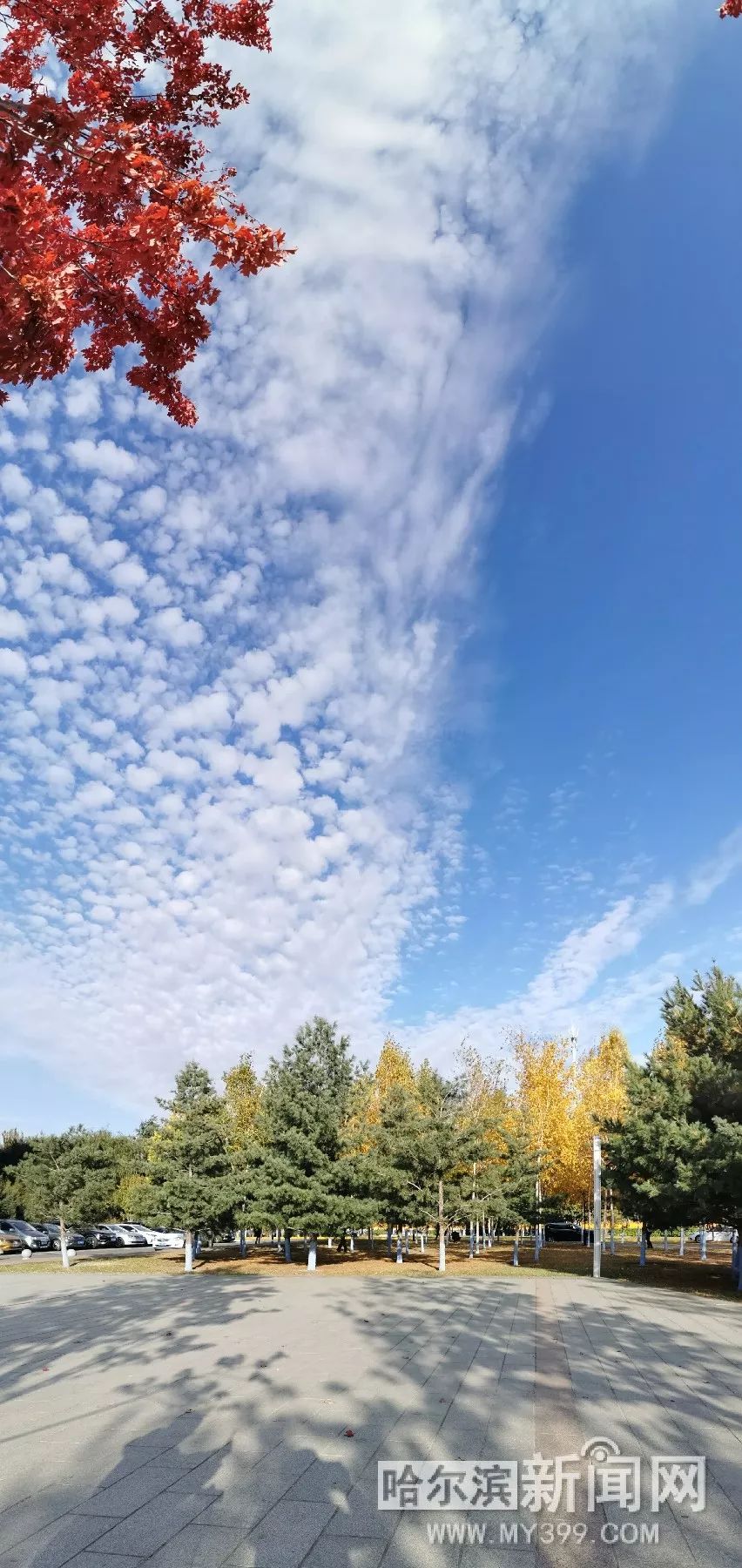 傲慢与偏见与僵尸 视频海报