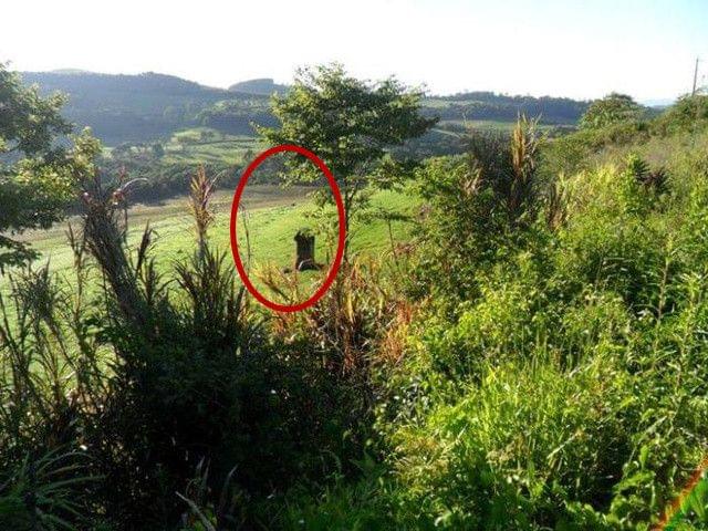 决斗尤玛镇 视频缩略图