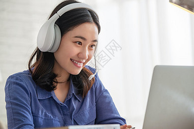 企业动物 视频海报