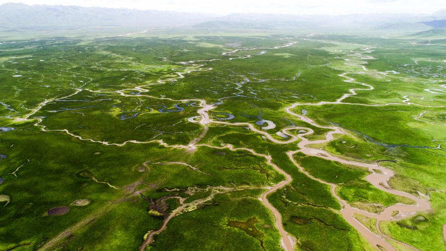 卡布里尼 视频主图