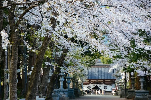 决战江湖之烂仔鸭王 视频海报