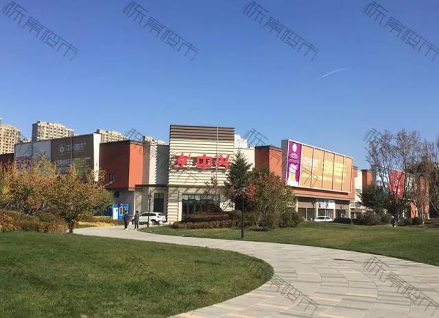 作家的洞穴 视频缩略图