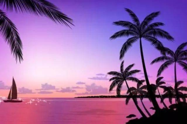 保姆的黑皮书 视频海报