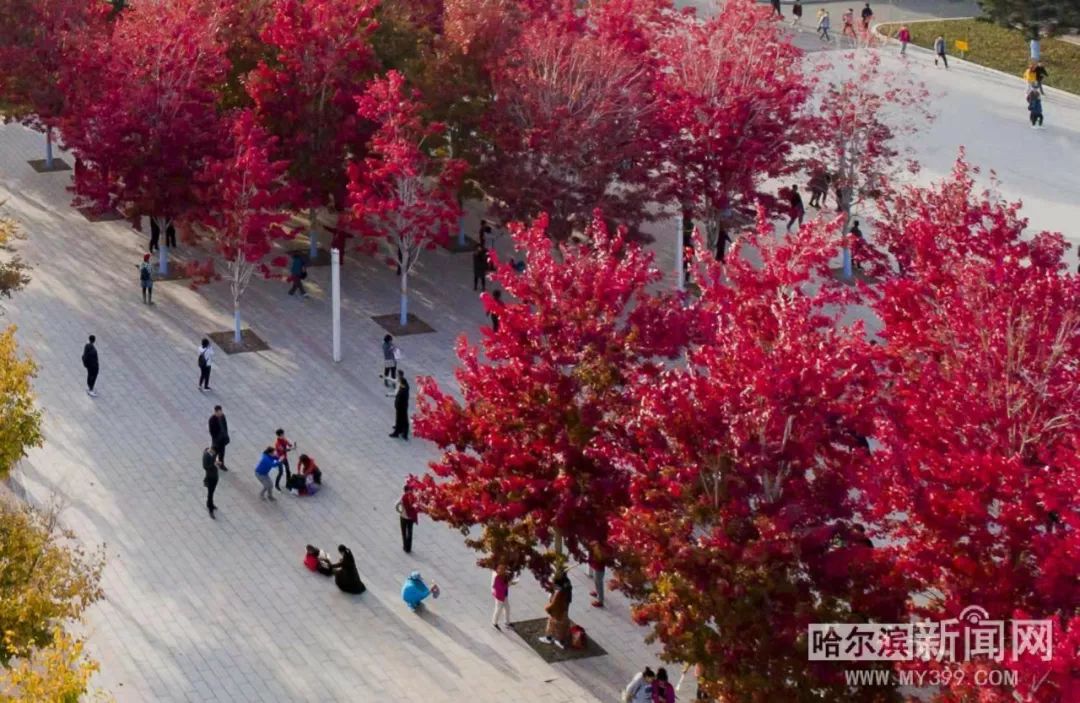 像这样的小事 视频缩略图