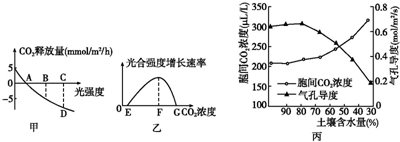 假如没有你 视频主图