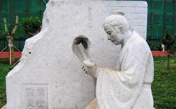 关于我们-森林光影