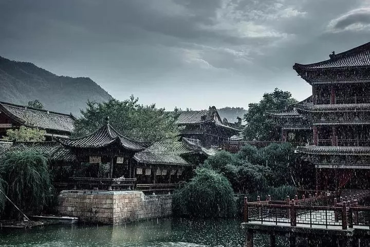 元首与引诱者 视频海报