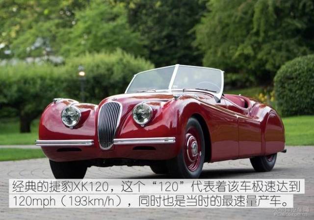 冒牌财神爷 视频缩略图