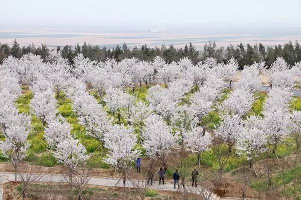 吉诺密欧与朱丽叶 视频缩略图