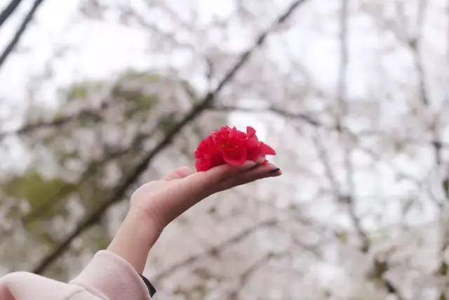 倾听者 2022 视频缩略图