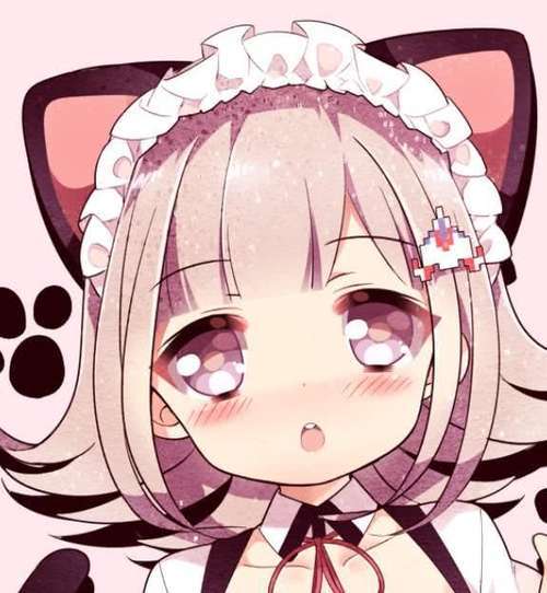 只有我没有猫 视频缩略图