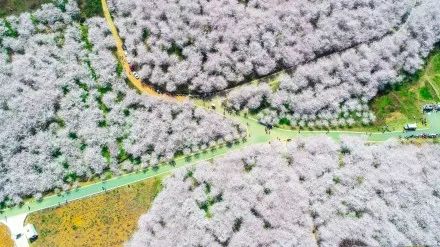 南粤刑侦档案 视频主图