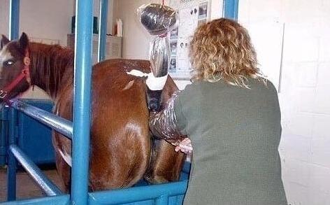 冷面天使 视频海报