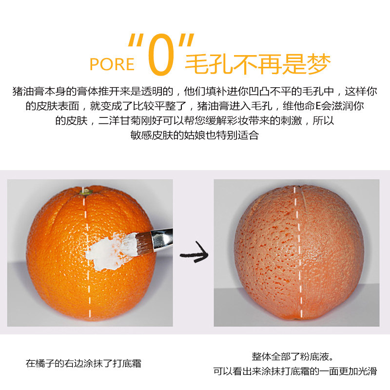 信天翁 视频缩略图