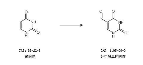 你记得我吗？ 视频缩略图