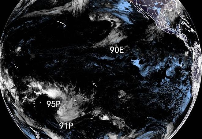 嗜血狂蜂 视频缩略图