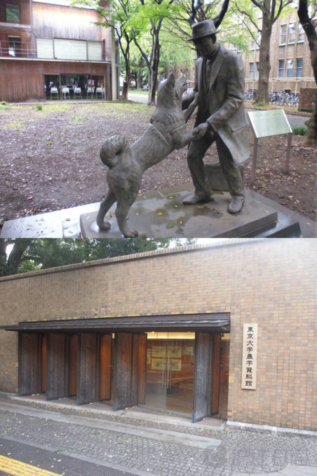 俏皮女学生 视频缩略图